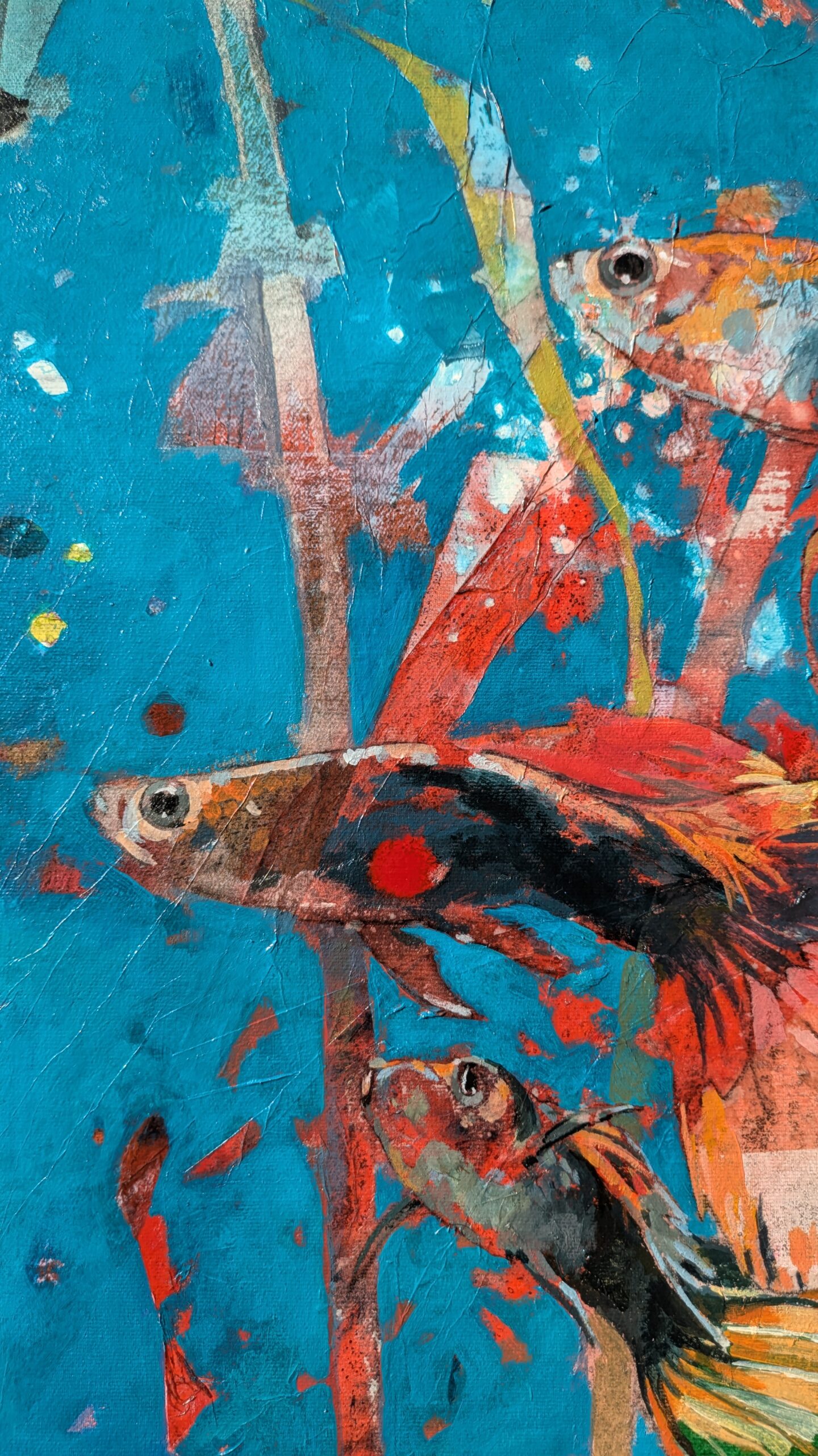 PXL_20260203_091942265.MP